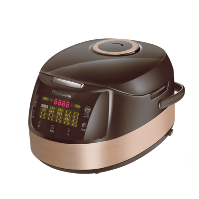 长虹微电脑电饭煲cfb-f50g60